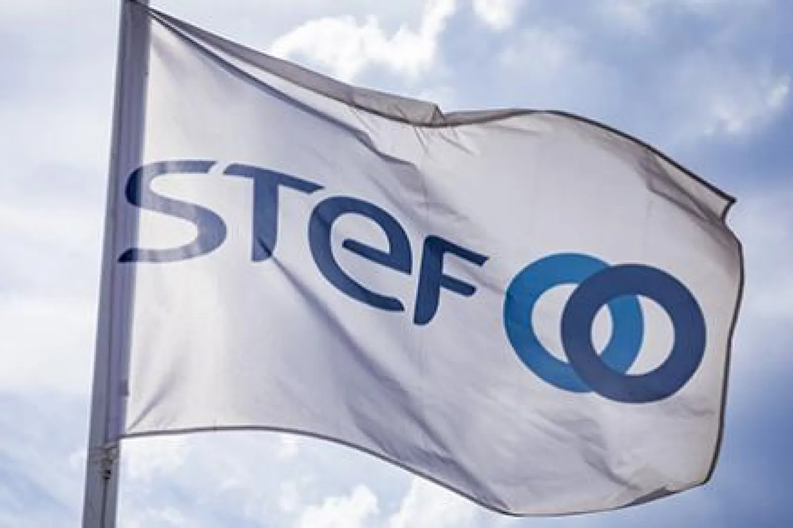 stef logo