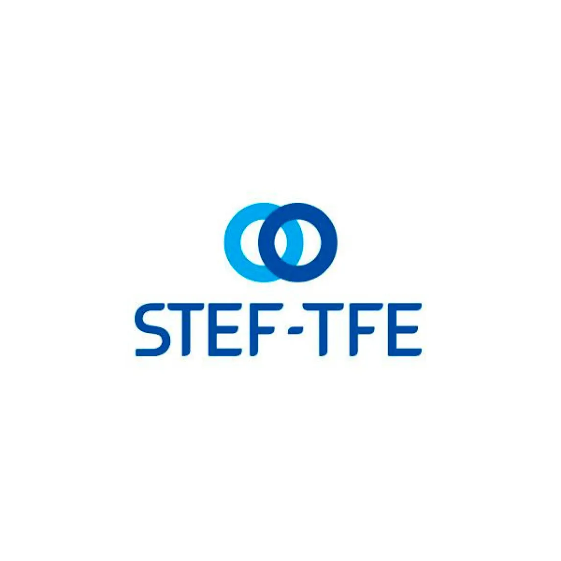 Logo STEF TFE